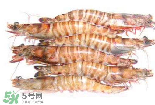 九節(jié)蝦是海蝦嗎？九節(jié)蝦是海蝦還是河蝦