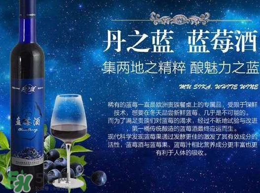 藍(lán)莓酒多少錢一瓶？藍(lán)莓王酒多少錢一瓶？