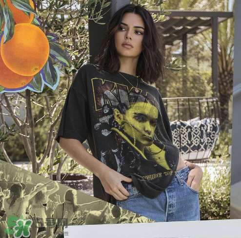 kendall kylie2017復(fù)古系列短袖t恤怎么樣_好看嗎_款式有哪些？