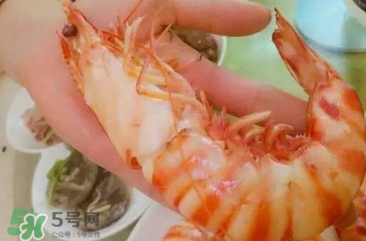 九節(jié)蝦是海蝦嗎？九節(jié)蝦是海蝦還是河蝦