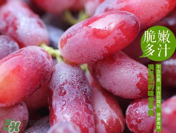 無籽紅提有涂避孕藥嗎？無籽紅提是轉(zhuǎn)基因嗎？
