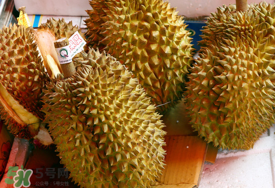 托曼尼榴蓮怎么才是熟？托曼尼榴蓮怎么看生熟？