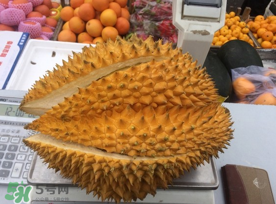 托曼尼榴蓮怎么才是熟？托曼尼榴蓮怎么看生熟？