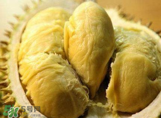 托曼尼榴蓮多少錢？托曼尼榴蓮是哪里的？