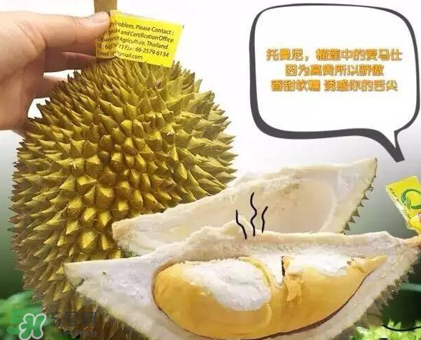 托曼尼榴蓮又叫什么？托曼尼榴蓮簡(jiǎn)介