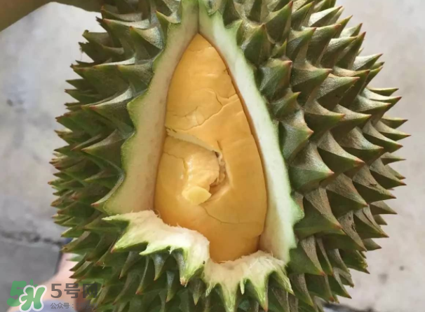 托曼尼榴蓮又叫什么？托曼尼榴蓮簡(jiǎn)介