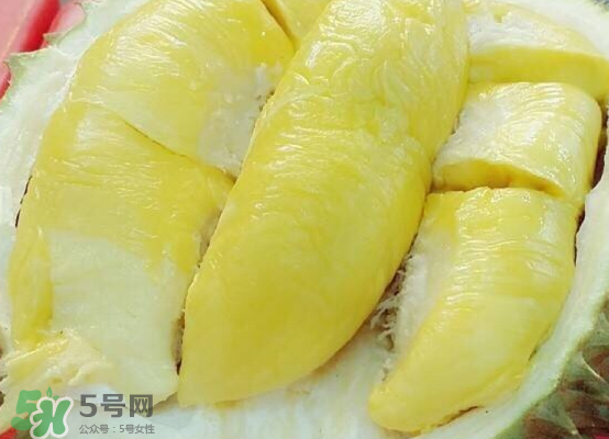 托曼尼榴蓮多大？托曼尼榴蓮好吃嗎？