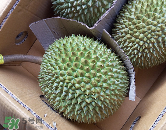 干堯榴蓮怎么樣算熟了？干堯榴蓮怎么挑選？