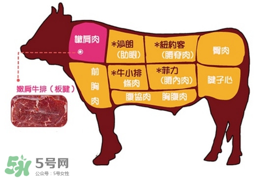 牛排是牛的哪個(gè)部位？牛排是牛身上哪塊肉？