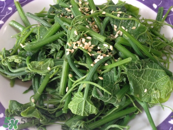 龍須菜怎么清洗？龍須菜怎么處理？