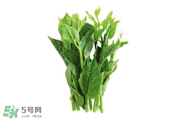 龍須菜有幾種？龍須菜多少錢(qián)一斤？