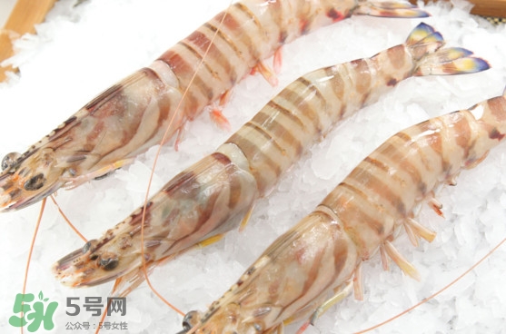 竹節(jié)蝦是海里的嗎？竹節(jié)蝦是海蝦還是河蝦