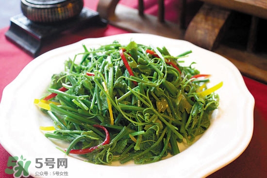 龍須菜是什么菜？龍須菜怎么吃？