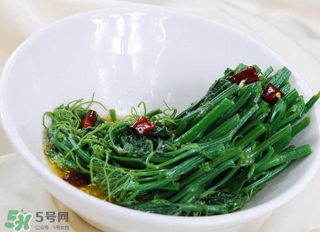 龍須菜是什么菜？龍須菜怎么吃？