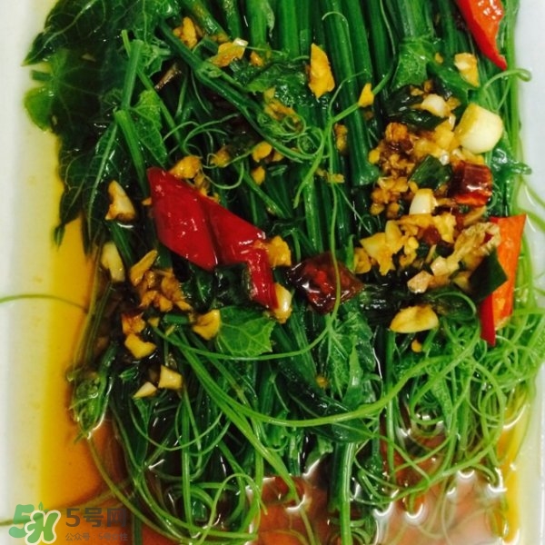 龍須菜怎么清洗？龍須菜怎么處理？