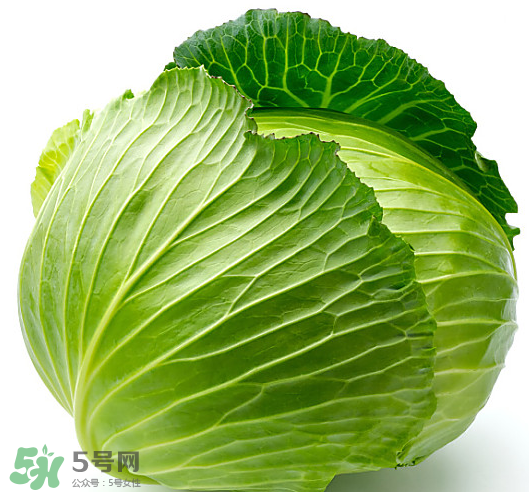 8月份吃什么蔬菜？八月份適合吃什么蔬菜？