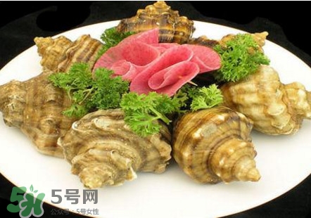 海螺可以冷凍嗎？海螺放冰箱能保存多久