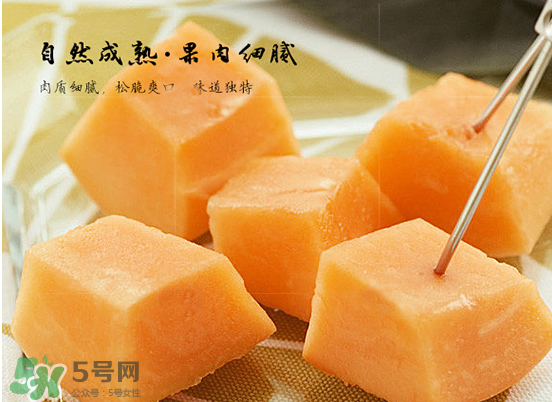 西州蜜瓜什么季節(jié)熟？西州蜜瓜幾月份成熟？