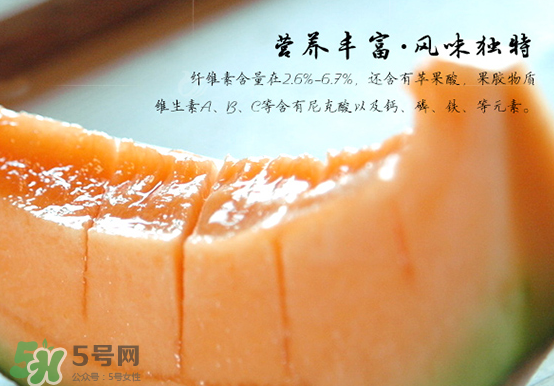 西州蜜瓜什么季節(jié)熟？西州蜜瓜幾月份成熟？
