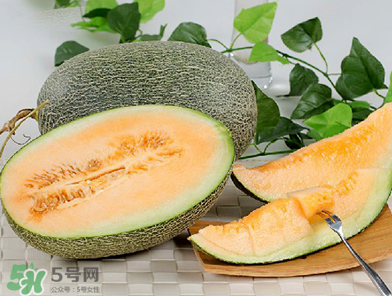 西州蜜瓜什么季節(jié)熟？西州蜜瓜幾月份成熟？