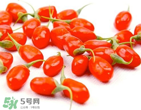 枸杞鮮果能吃嗎？鮮枸杞好還是干枸杞好