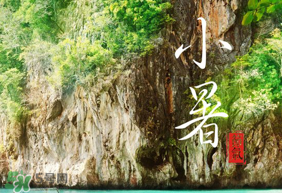 小暑是入伏嗎？小暑是不是入伏？