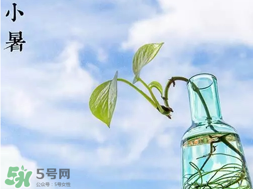 小暑是頭伏嗎？小暑是初伏嗎？