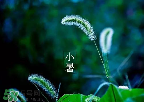 小暑是頭伏嗎？小暑是初伏嗎？