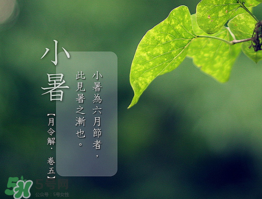 2017年小暑會下雨嗎？小暑這一天下雨好嗎？