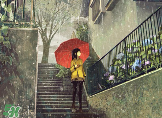 2017年小暑會下雨嗎？小暑這一天下雨好嗎？