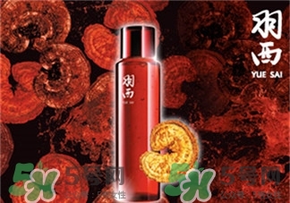 羽西生機之水靈芝調理液怎么樣?羽西生機之水靈芝調理液好嗎?