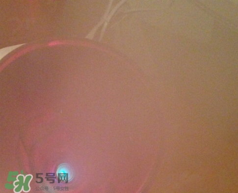 松下蒸臉器和金稻哪個好？松下蒸臉器和金稻蒸臉器對比