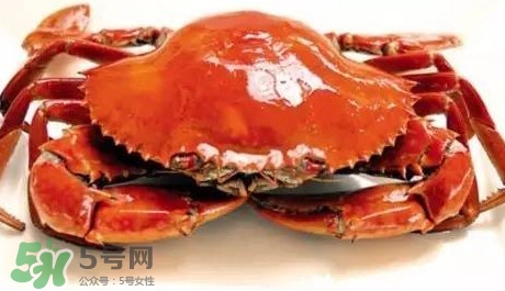 石夾紅螃蟹什么時候有？石夾紅螃蟹什么時候最肥