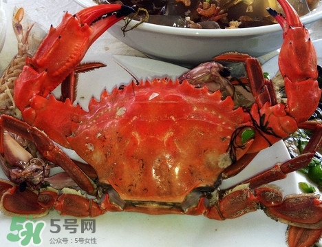 石夾紅螃蟹怎么吃？石夾紅螃蟹煮多久