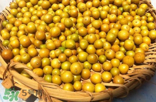 黃皮果是小金橘嗎？黃皮果和小金橘的區(qū)別
