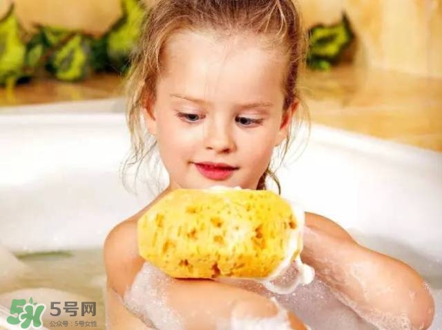 Rosenfeld海綿好用嗎？Rosenfeld海綿怎么樣？