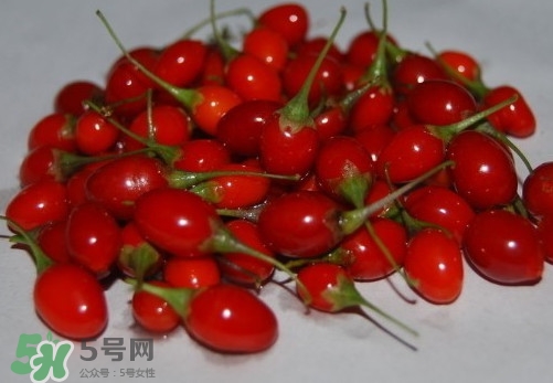 枸杞鮮果怎么吃？吃枸杞鮮果有什么好處