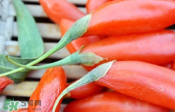 青海和寧夏枸杞哪個好？青海枸杞和寧夏枸杞的區(qū)別