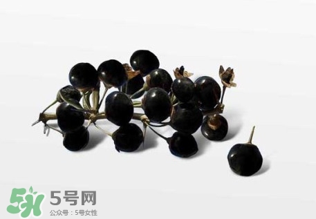 新鮮枸杞多少錢一斤？2017枸杞鮮果價格