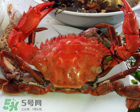 石夾紅螃蟹什么時候有？石夾紅螃蟹什么時候最肥