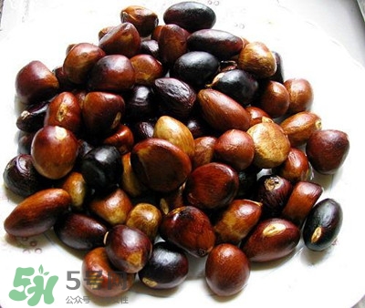 蘋(píng)婆怎么吃？蘋(píng)婆的功效與作用