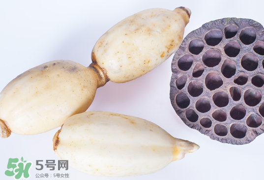 蓮蓬和蓮藕一樣嗎？蓮蓬和蓮藕的區(qū)別