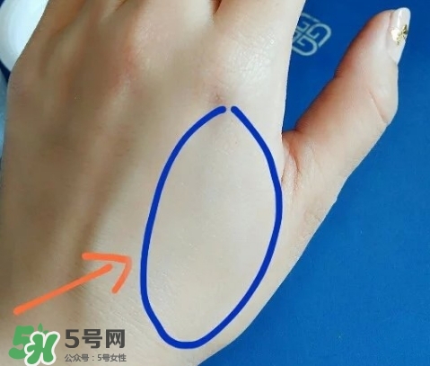 肌膚之食是什么牌子？肌膚之食讓我毀容了