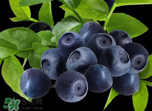 新鮮藍(lán)莓可以直接吃嗎？新鮮藍(lán)莓怎么吃才好吃？