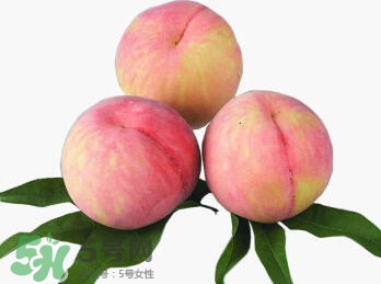 脆桃有什么營養(yǎng)？脆桃的營養(yǎng)價值