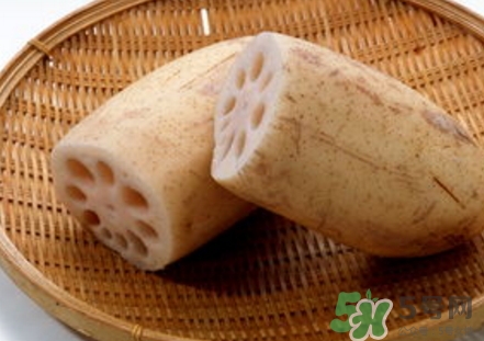 紅蓮藕和白蓮藕哪個(gè)好？紅蓮藕和白蓮藕區(qū)別