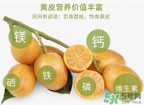 孕婦可以吃黃皮嗎？孕婦吃黃皮有什么好處