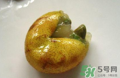 黃皮果核能治療什么病？黃皮核的功效與作用