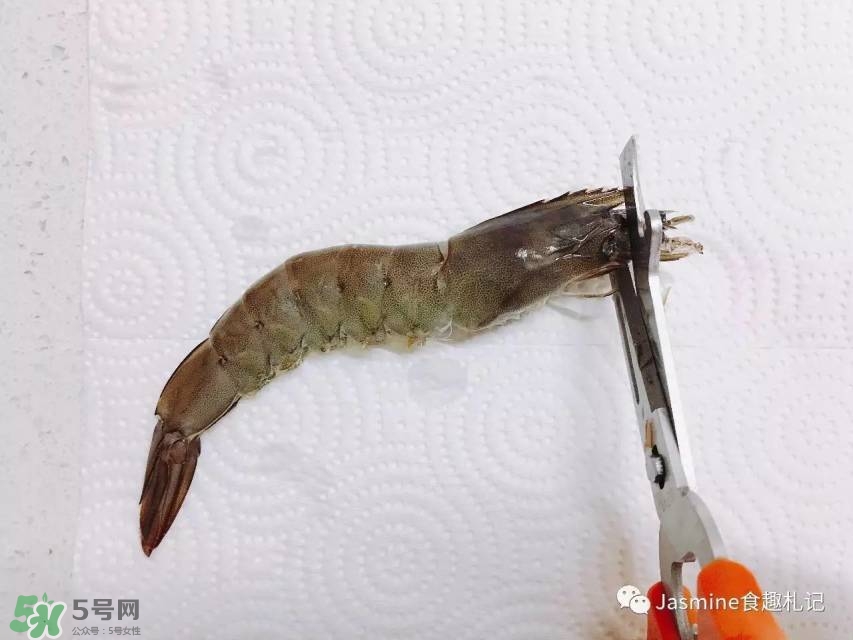 活基圍蝦怎么保存？活基圍蝦怎么處理干凈？