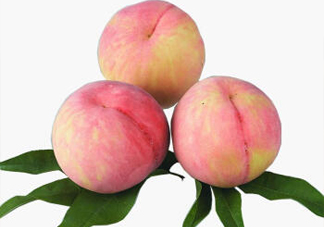 脆桃有什么營(yíng)養(yǎng)？脆桃的營(yíng)養(yǎng)價(jià)值